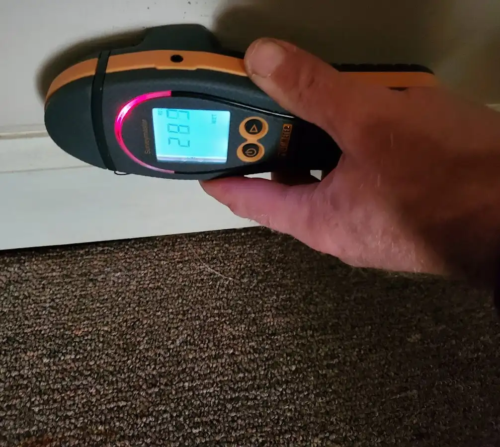 Moisture detection at baseboard during Sewage Cleanup & Sanitation in Glendale